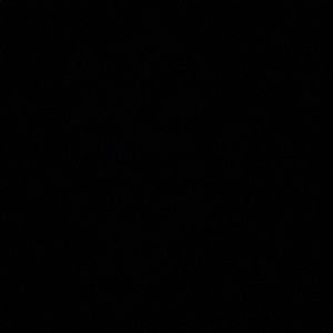 Meet your Posher, Ruger